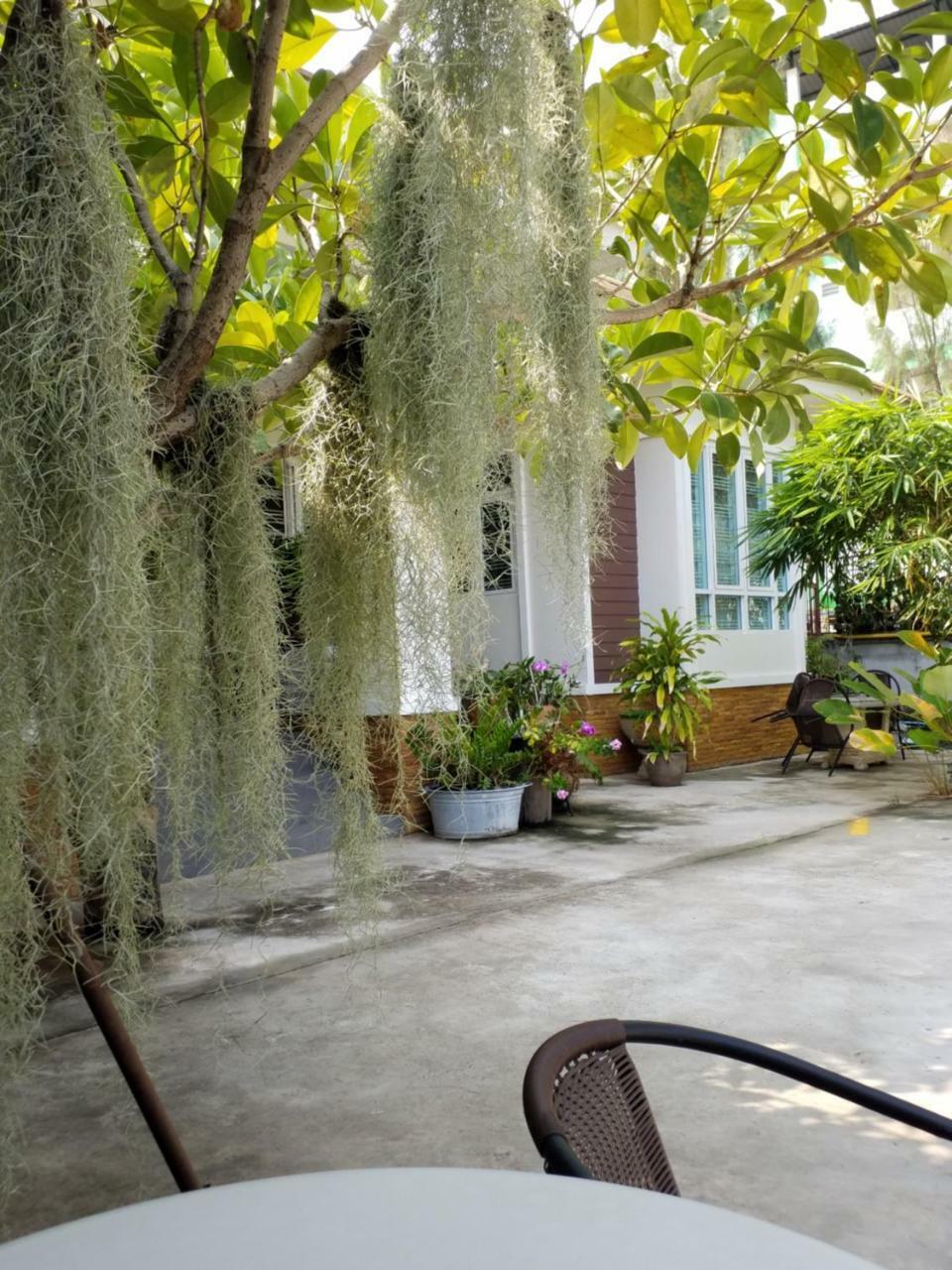 Homestay568 Rojet Kültér fotó